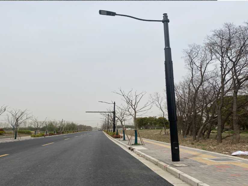 黄岩区上海综合杆 太阳能路灯工程